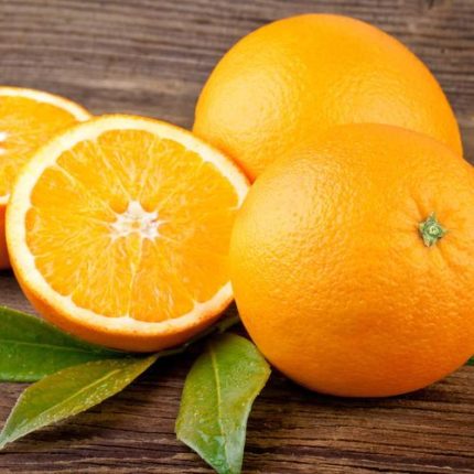 Citrus 'Trovita' Orange Tree
